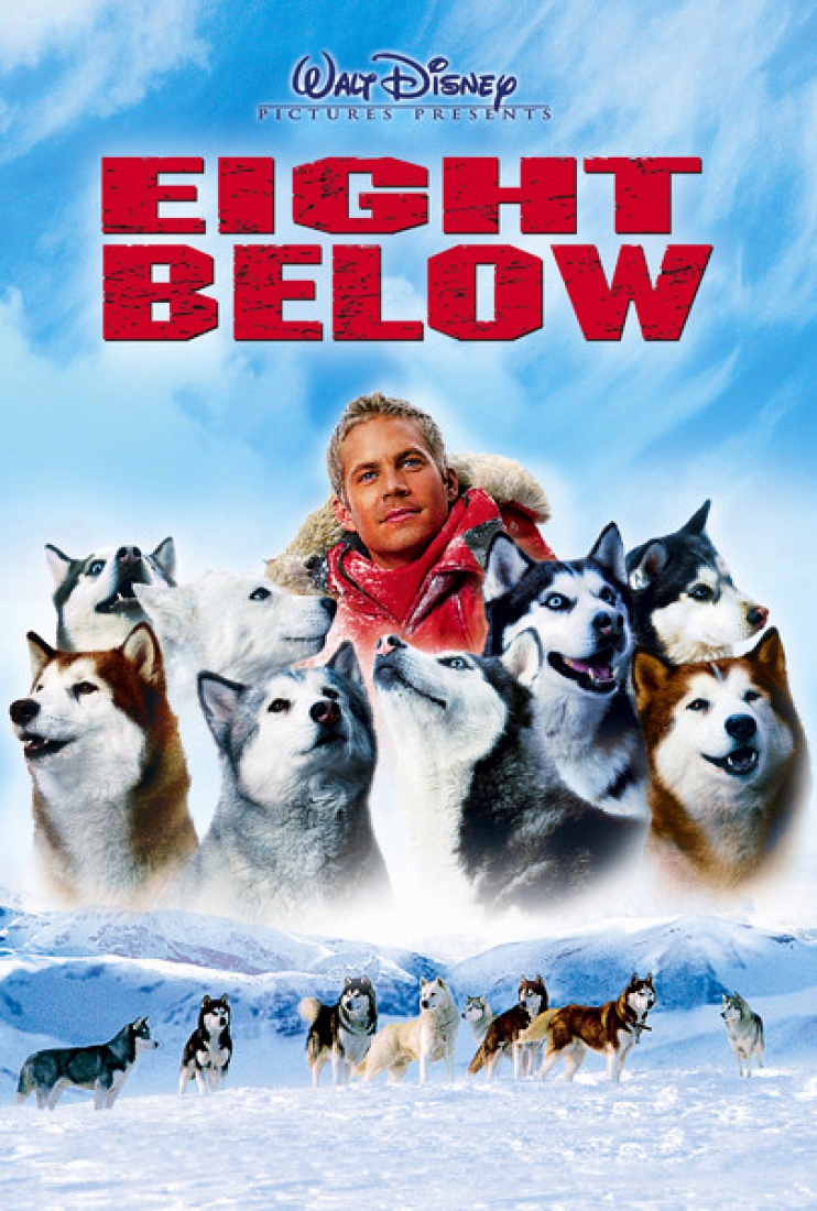 Image result for eight below poster