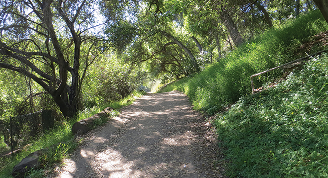 Sixty-five miles of trails in Balboa Park - San Diego Reader